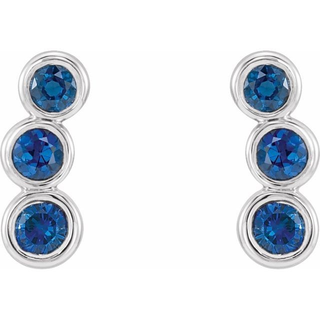 Huetta 0.72 Carat Blue Sapphire Bezel Set  Diamond Earrings