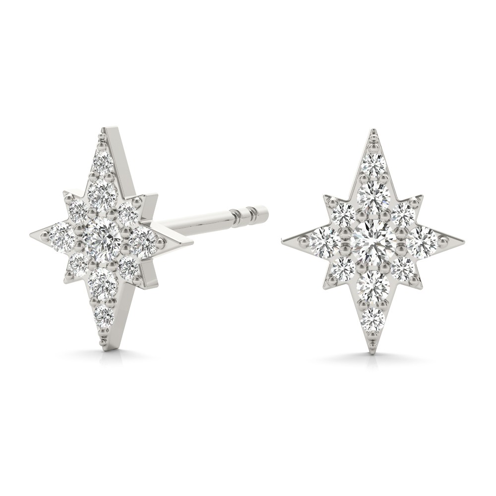 Paul Natural Pave Set  Diamond Earrings